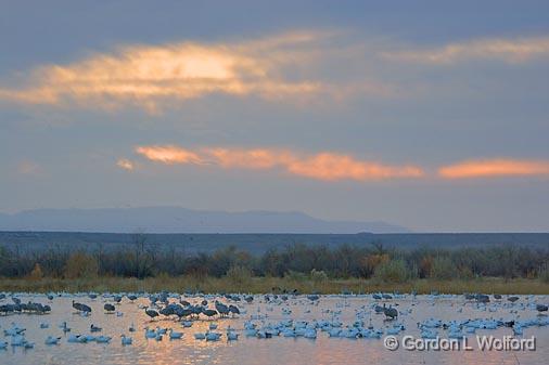 Cloudy Bosque Daybreak_72953.jpg - Photographed in the Bosque del Apache National Wildlife Refuge near San Antonio, New Mexico USA. 